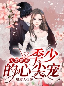 甜宠闪婚新妻小说